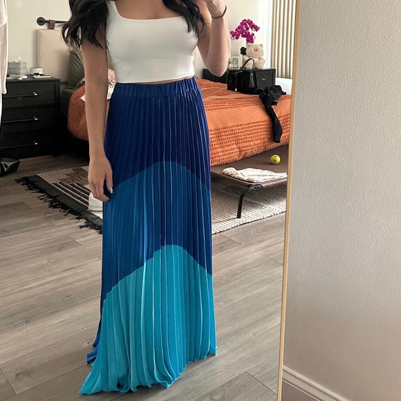 Pleated Skirt - Picture 7 of 7